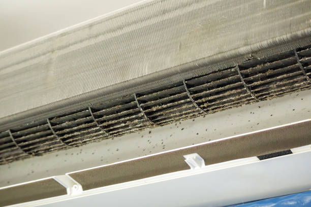 Best Ventilation Cleaning Services  in Bude, MS
